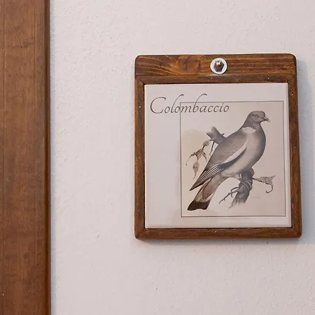 Bilocale Colombaccio Cecina (Livorno)